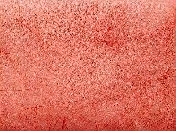 《猎杀：对决》“隐形”皮肤将于下个补丁修改