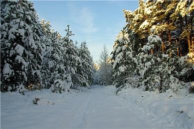 悬疑AVG《圣歌德嘉的晚钟》免费上线Steam 支持简中